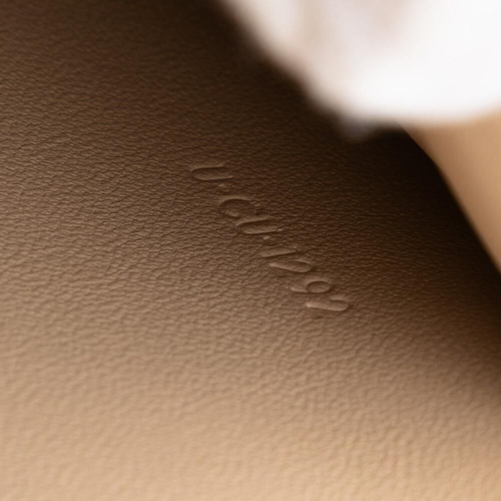 Celine Crossbody Bag