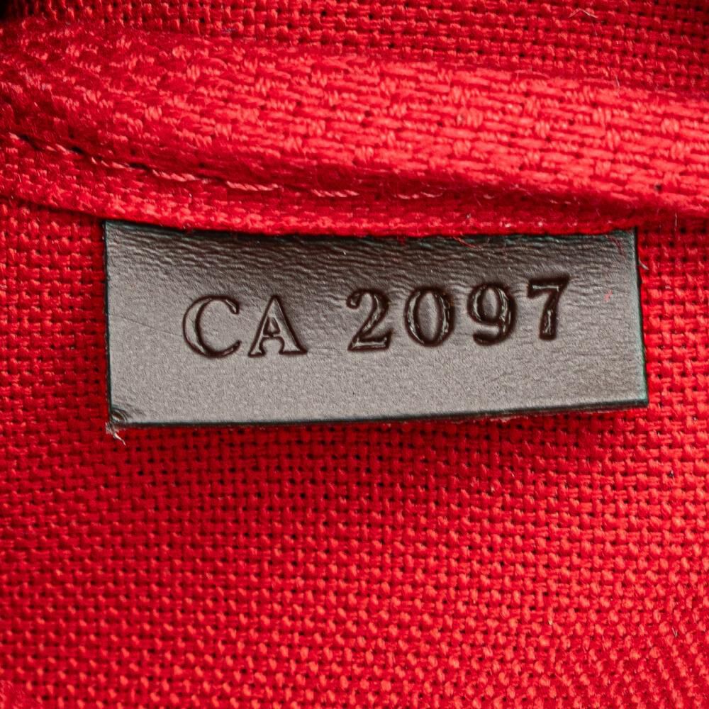 Louis Vuitton Pochette Accessoires