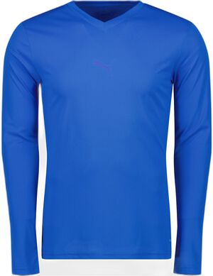 TeamGOAL Baselayer
