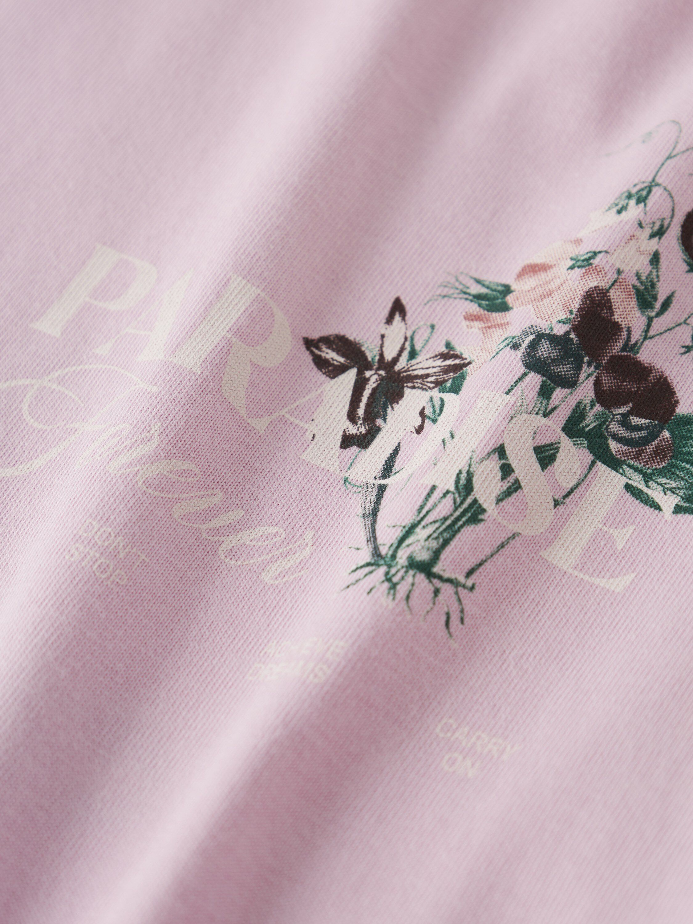 NKFNORLA SS NREG TOP