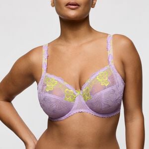 Ixia full cup bh