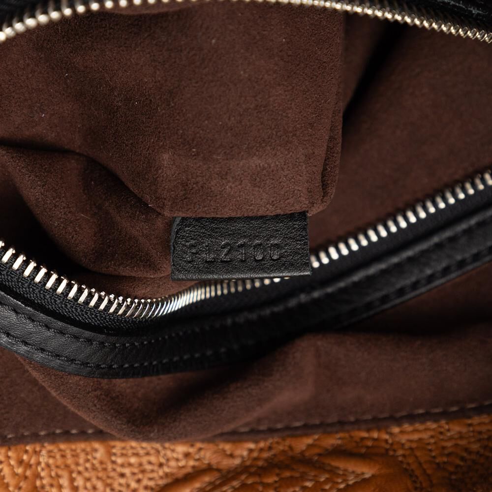 Louis Vuitton Antheia