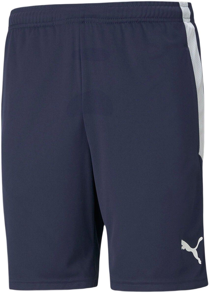 Teamliga Training shorts