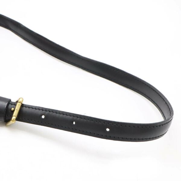 Louis Vuitton Danube