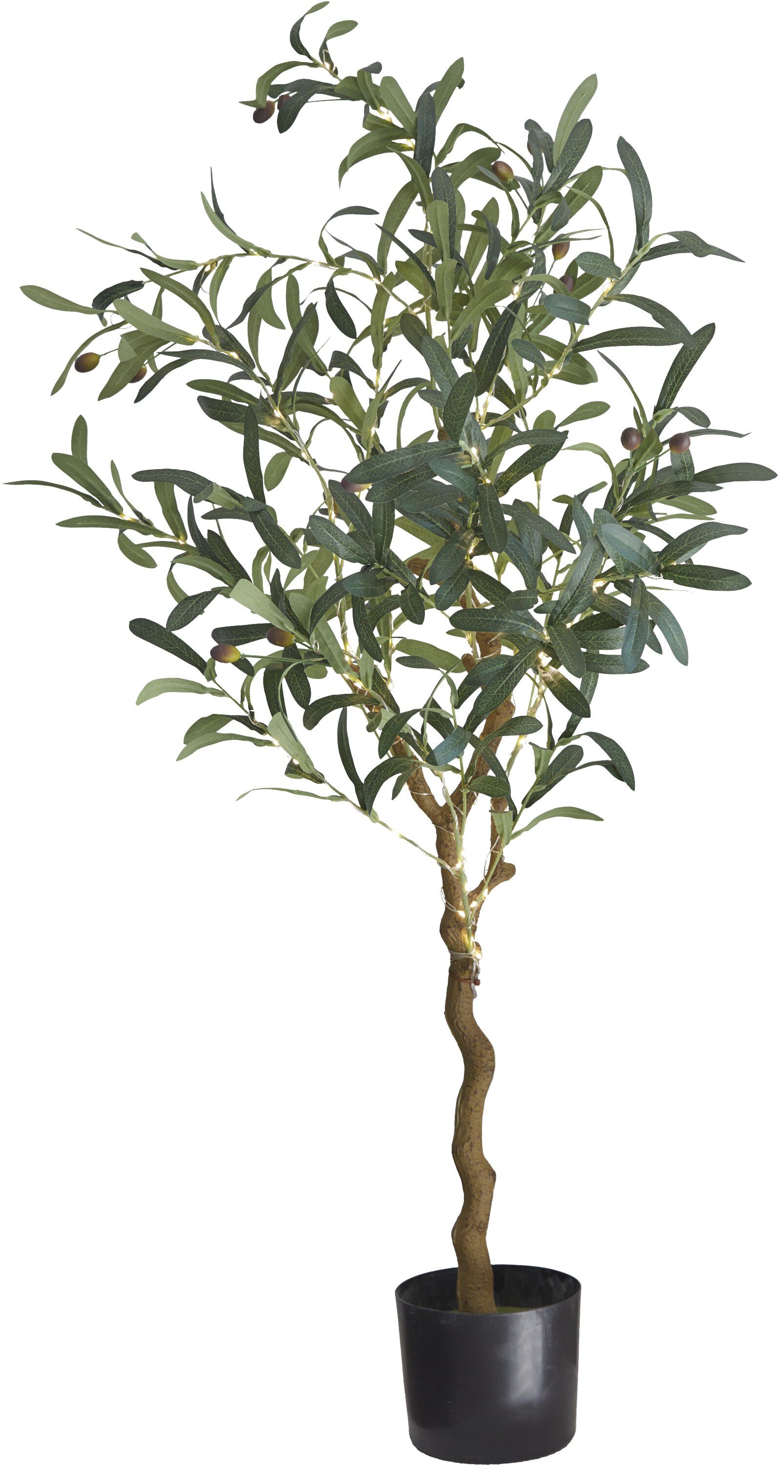 Oliva, Oliventr&aelig;, 1. 2M, 120LED,