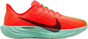 Pegasus Plus L&oslash;besko