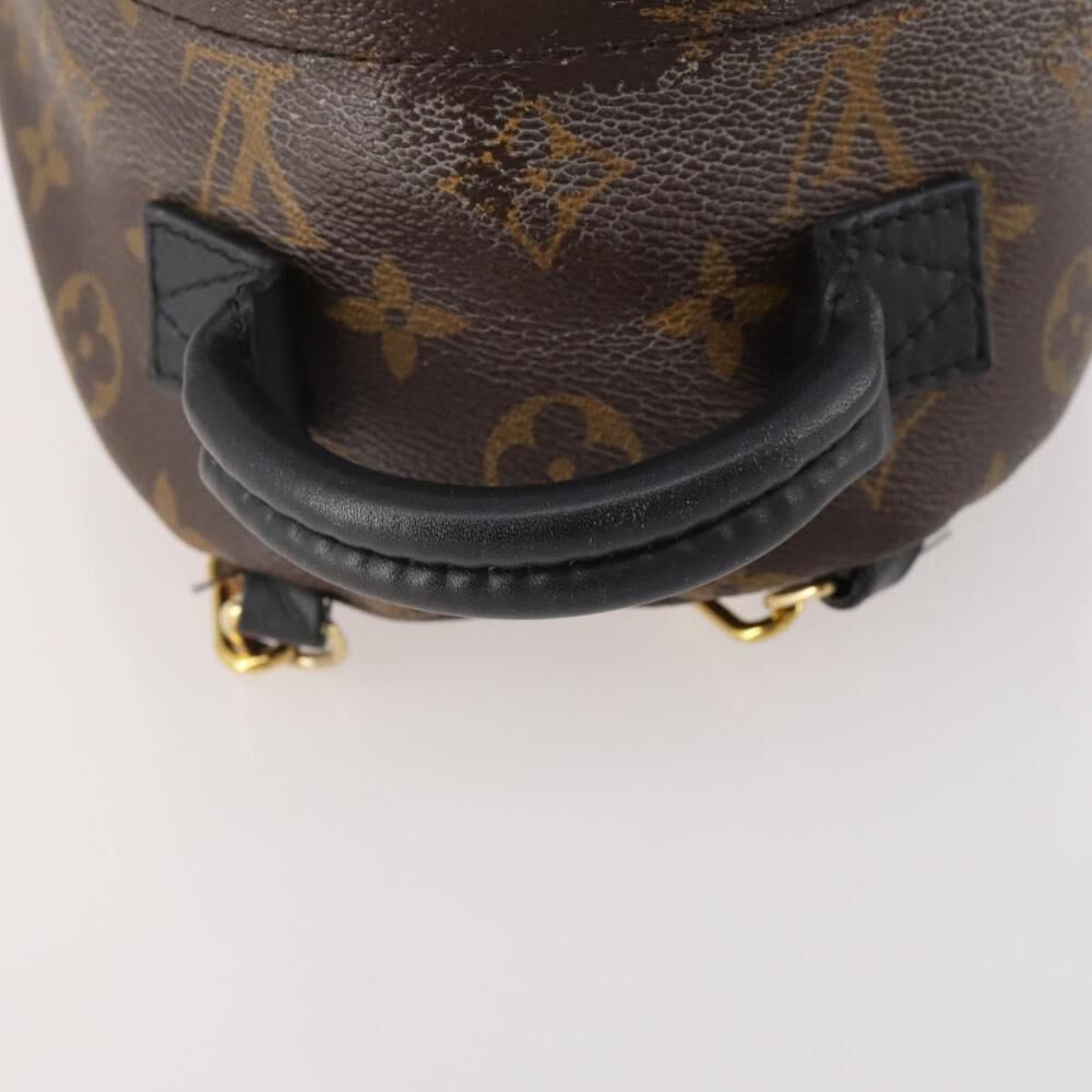 Louis Vuitton Palm Springs