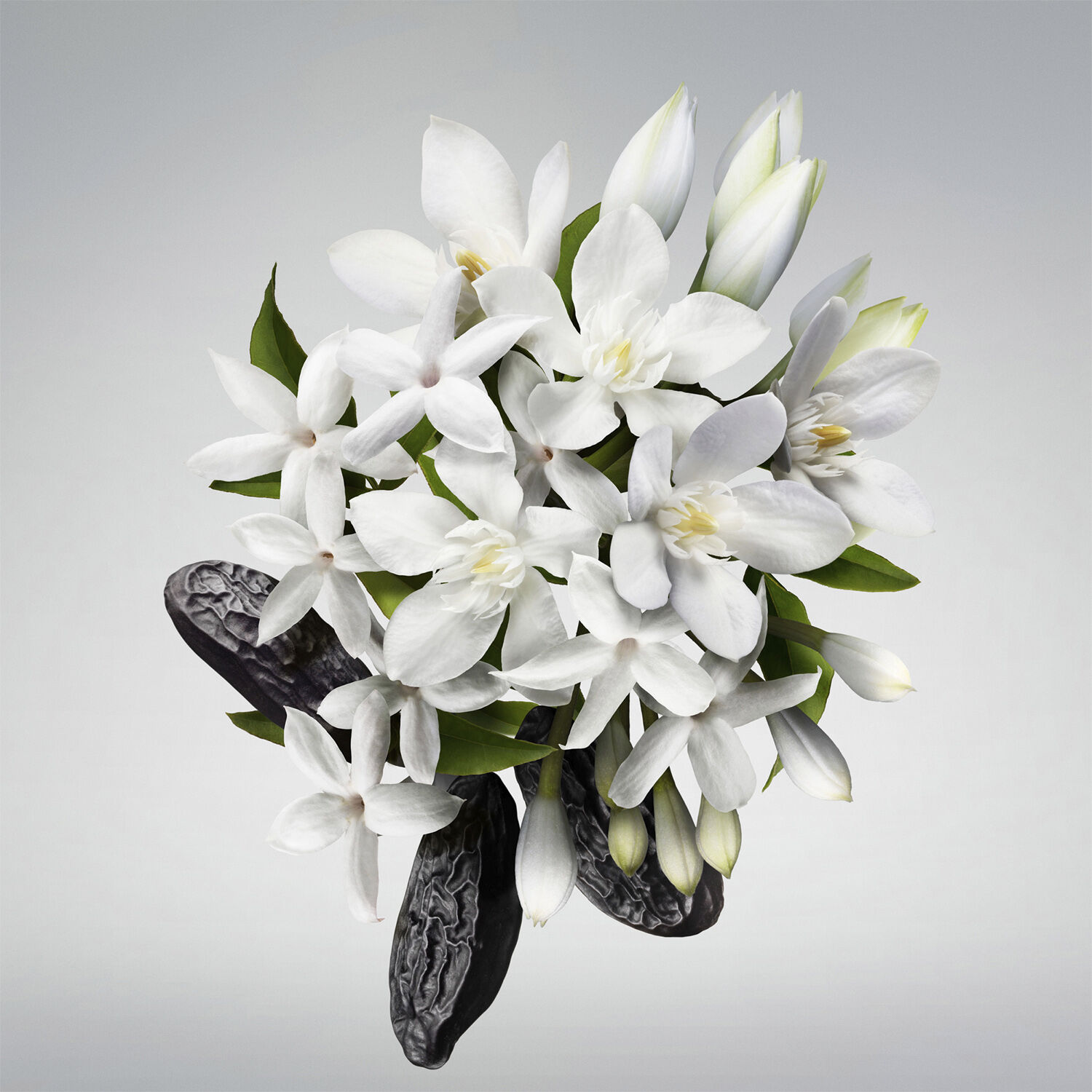 Good Girl Body cream 200 ML