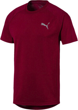 Evostripe Tee