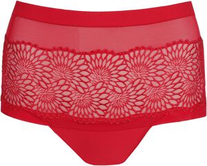 Sophora hotpants