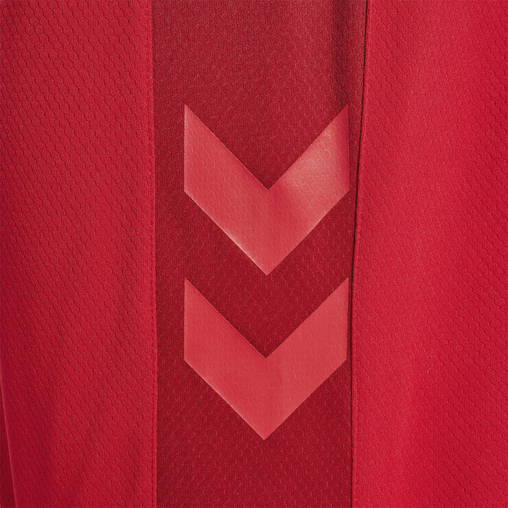 DBU Danmark hjemmebaneshorts 22 Voksen