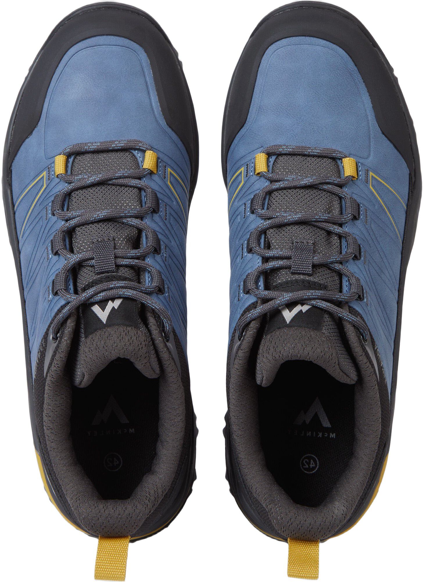 Tahsis AQX Vandresko