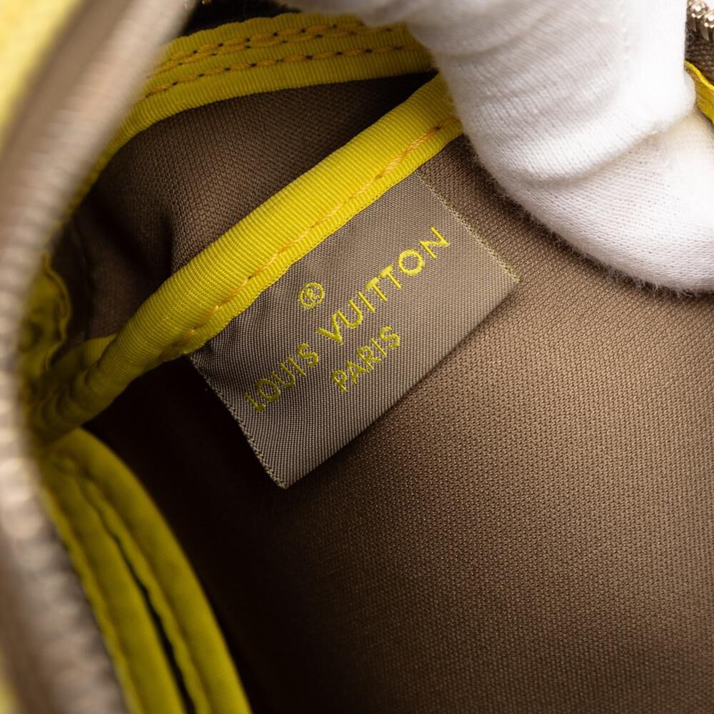 Louis Vuitton Damier Geant Associe