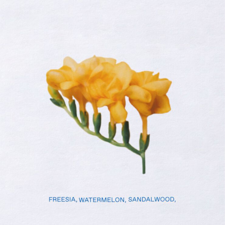 Sikinos Eau De Toilette