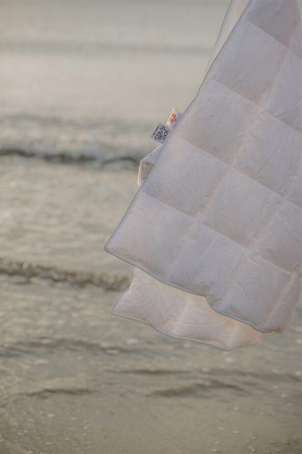 Fossflakes Dyne, Spring