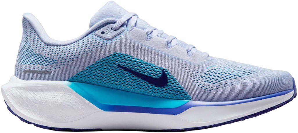 Pegasus 41 L&oslash;besko