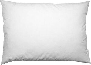 Cushion pad Cushion pad
