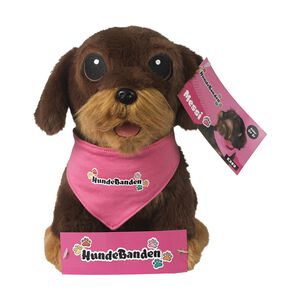 DR Hundebanden Messi, Ply