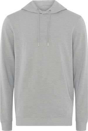 JBS of Denmark Logo hoodie