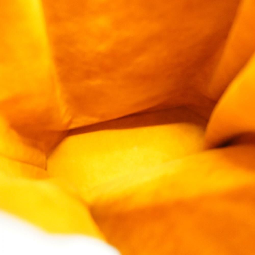 Louis Vuitton Sac D'&eacute;paule