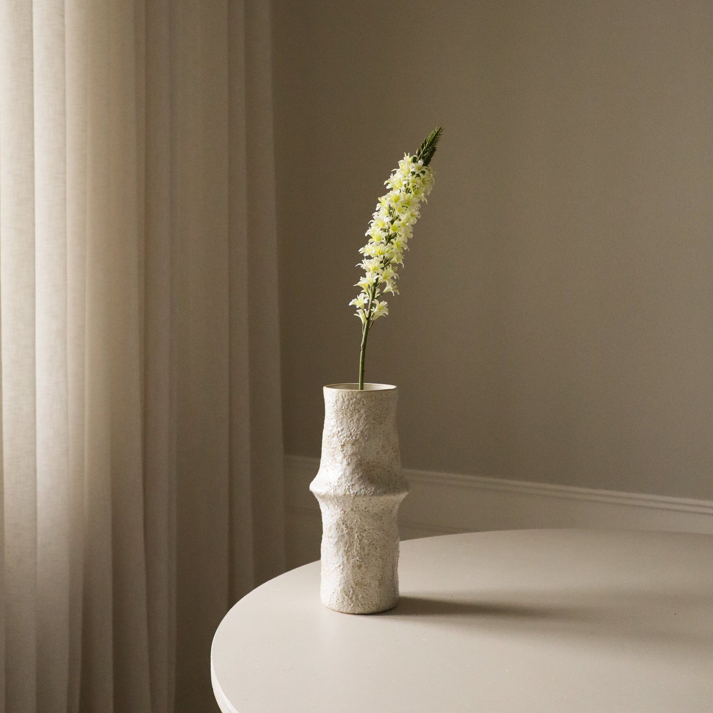 Eremurus Large Foxtail Lily