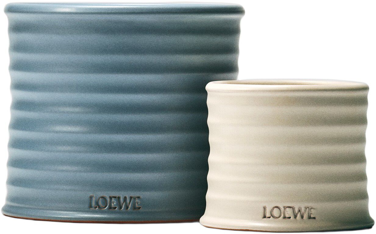 LOEWE Oregano Candle Small