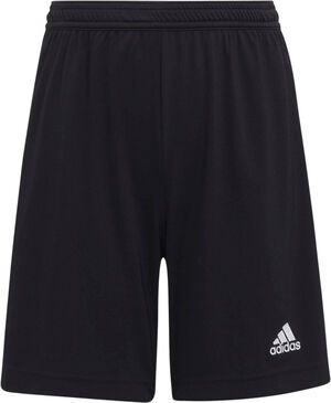 Entrada 22 shorts