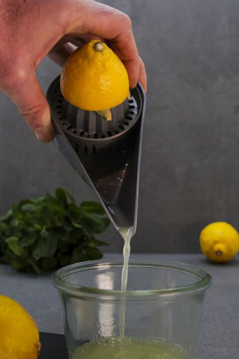 Press grå citruspresser - PLA