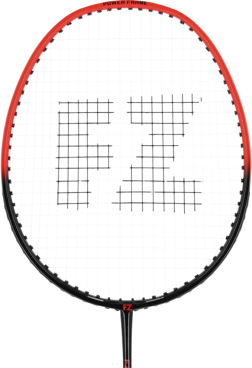 Play 500 Badmintonketcher