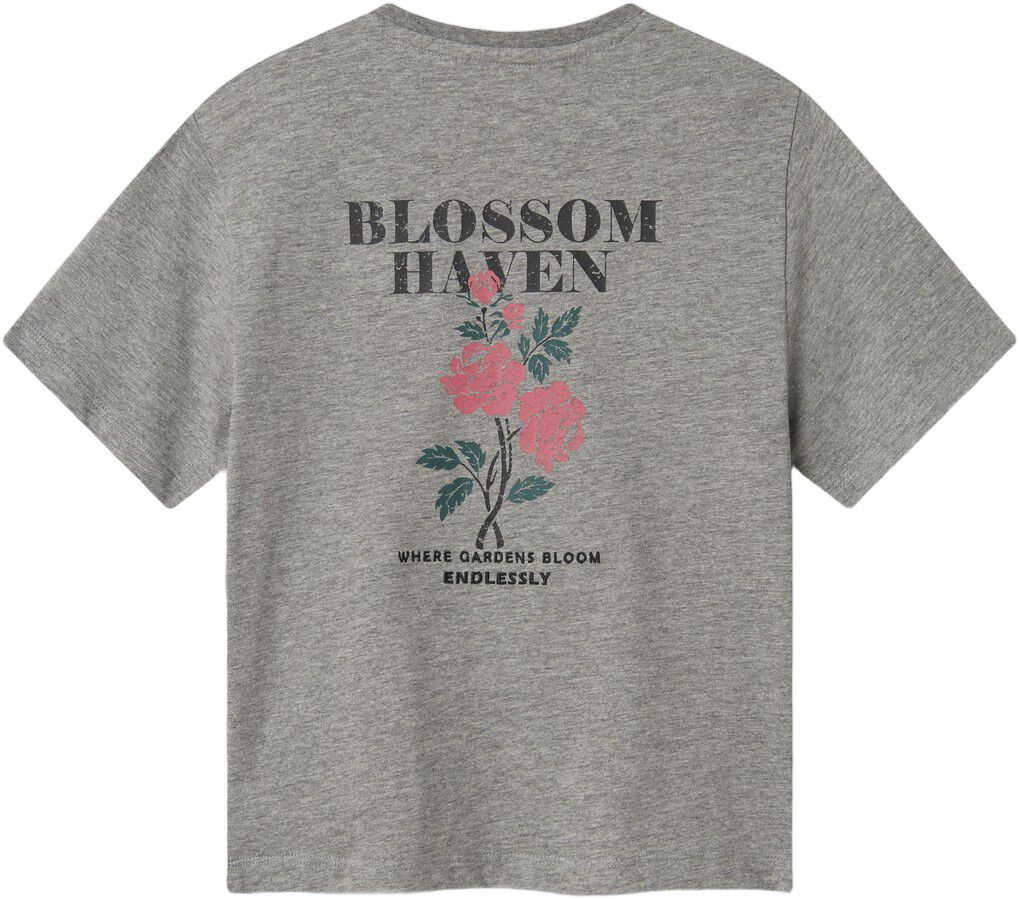 NKFLONNIE NREG SS TOP BOX