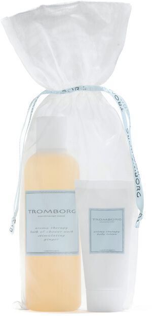 Aroma Therapy Bath & Shower Ginger