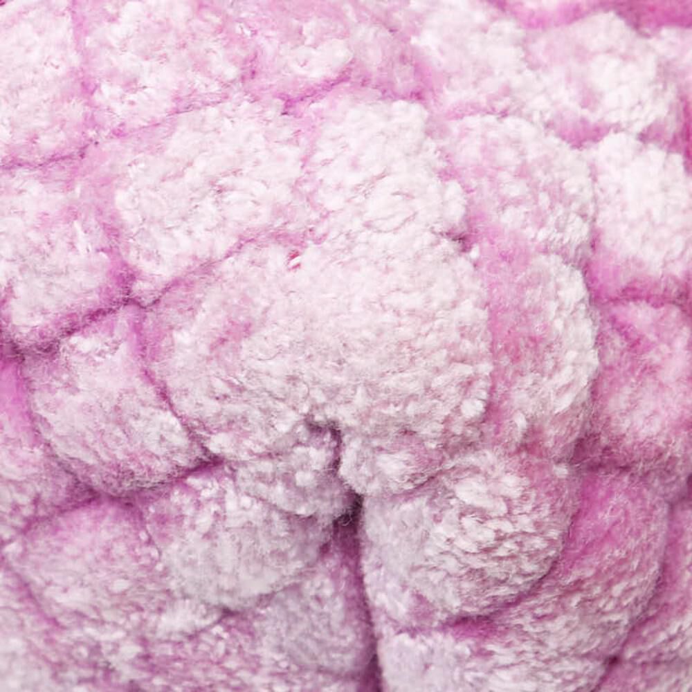 Bottega Veneta Crossbody Bag