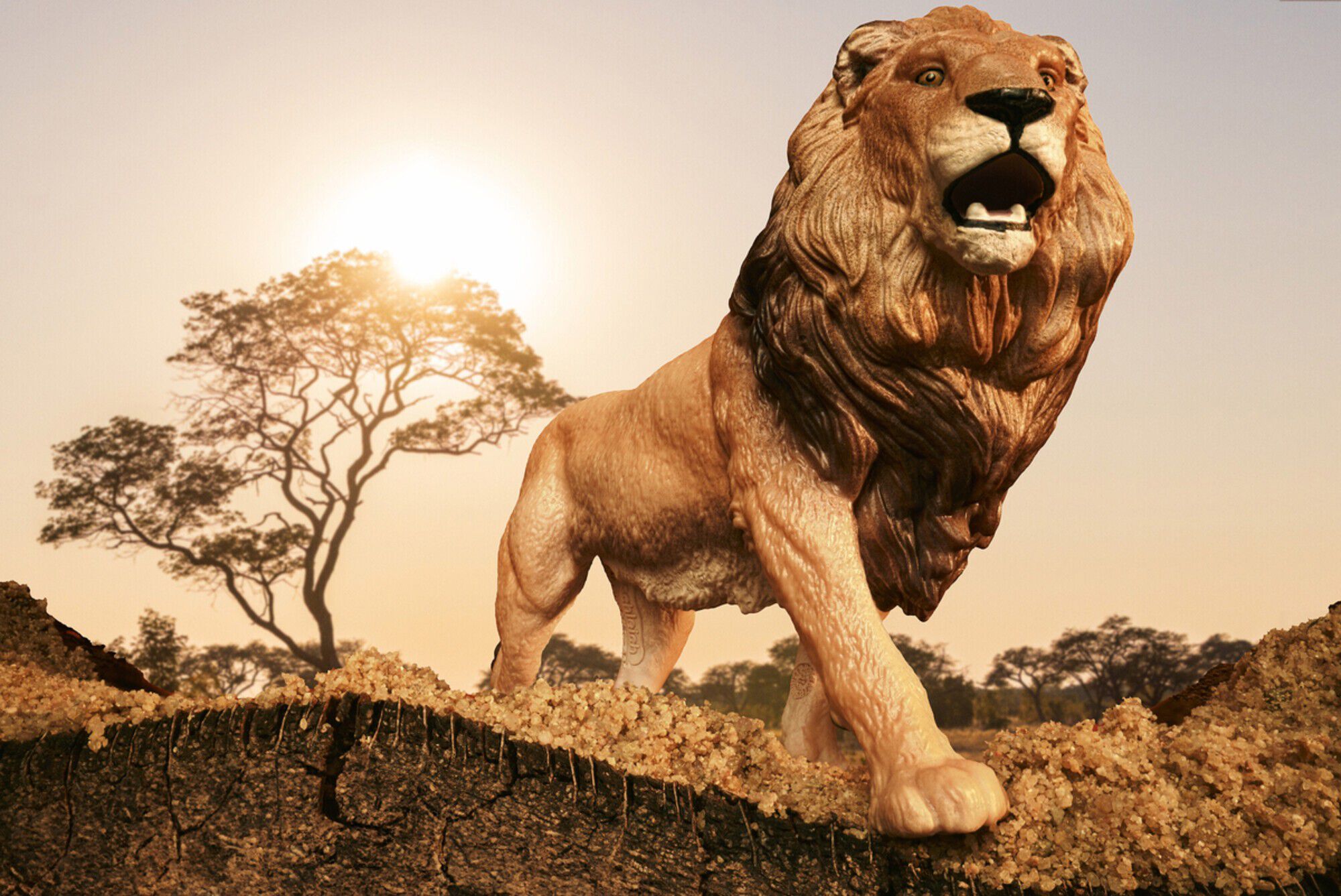 Schleich African Lion