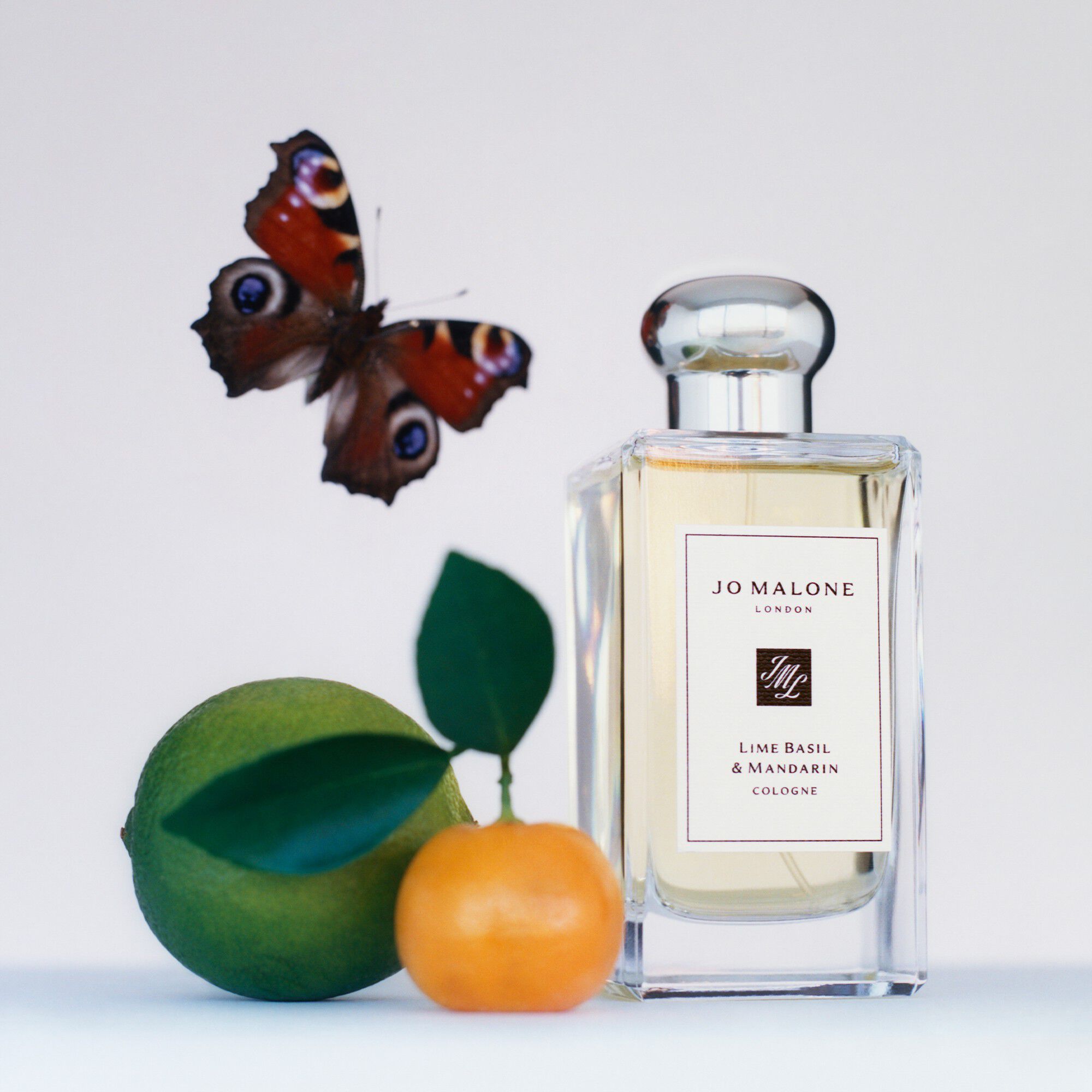 Lime Basil & Mandarin Cologne