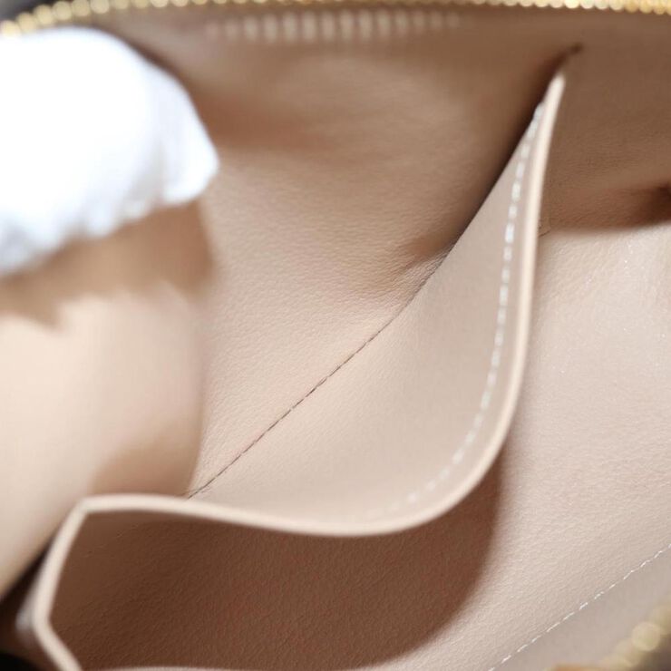 Louis Vuitton Cosmetic Pouch