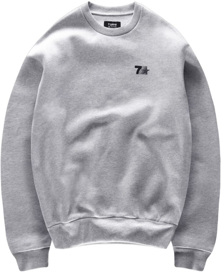 Organic Graphic Regular Crewneck