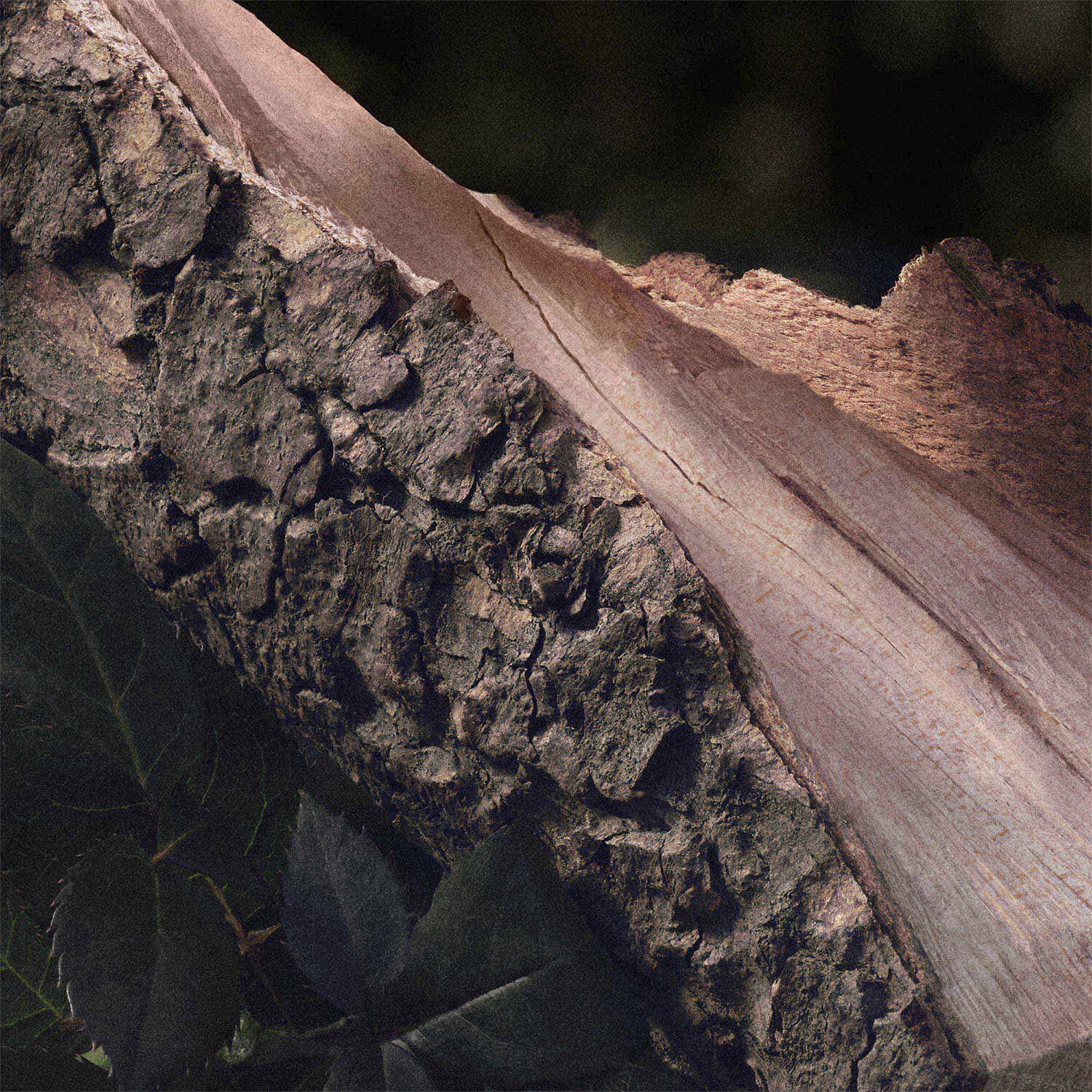 CHLO&Eacute; Naturelle Eau de parfum