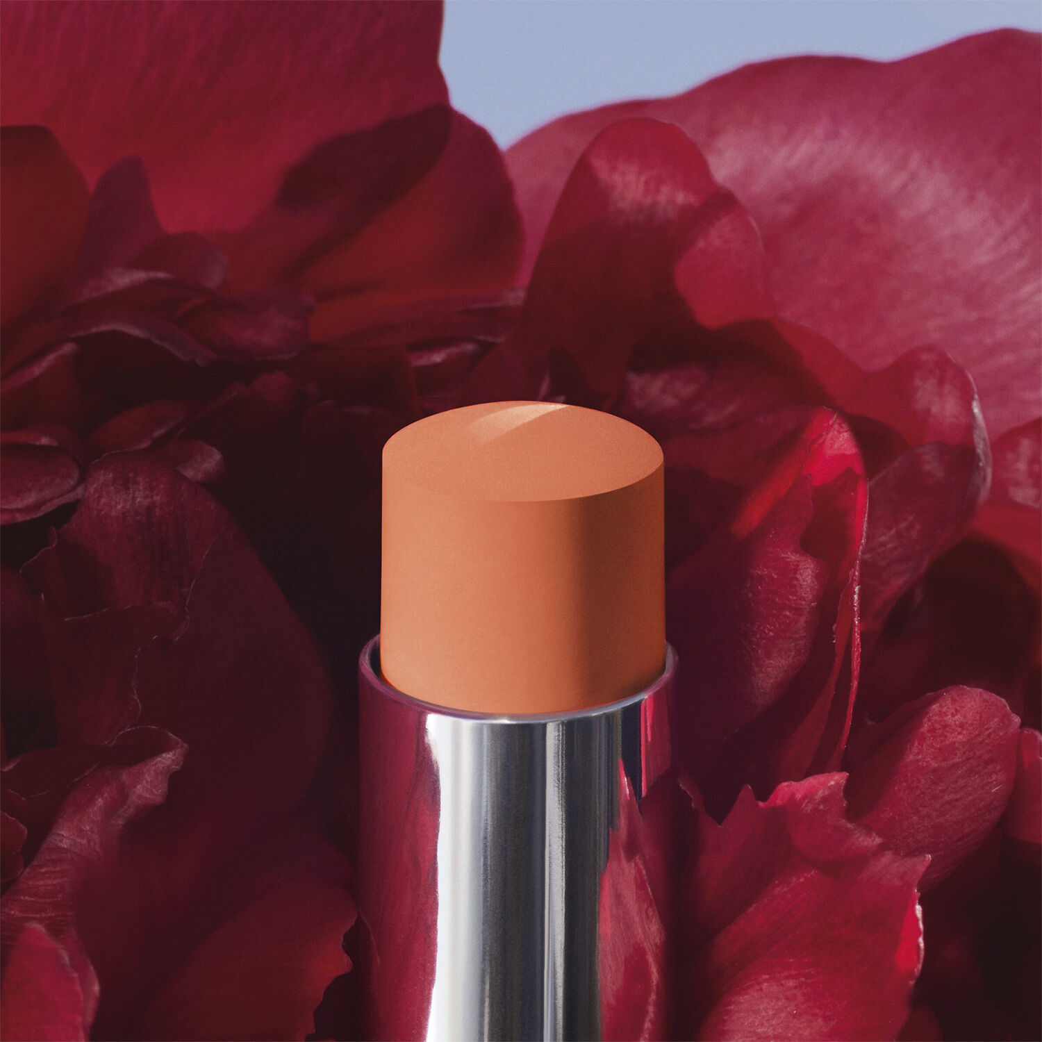 Rouge Dior Forever Stick 231 3. 2G