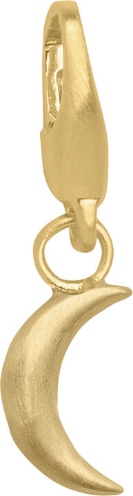 Moon Charm