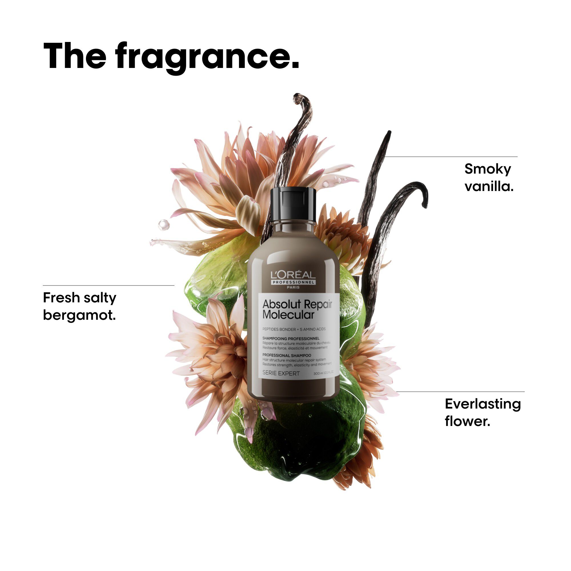 L'Or&eacute;al Professionnel Absolut Repair Molecular Shampoo 300ml