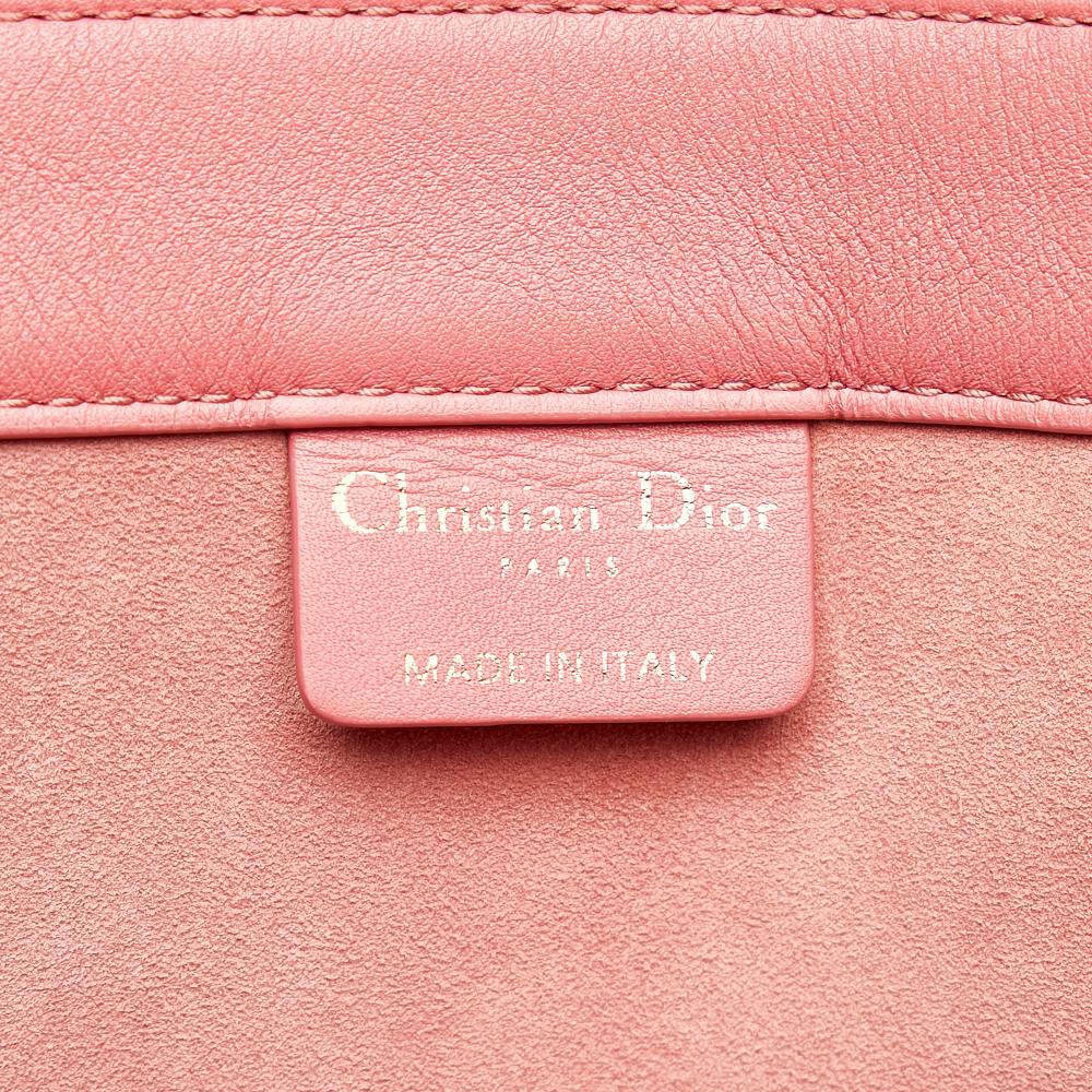 Dior Book Tote