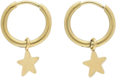 Small hoop earrings with star charm