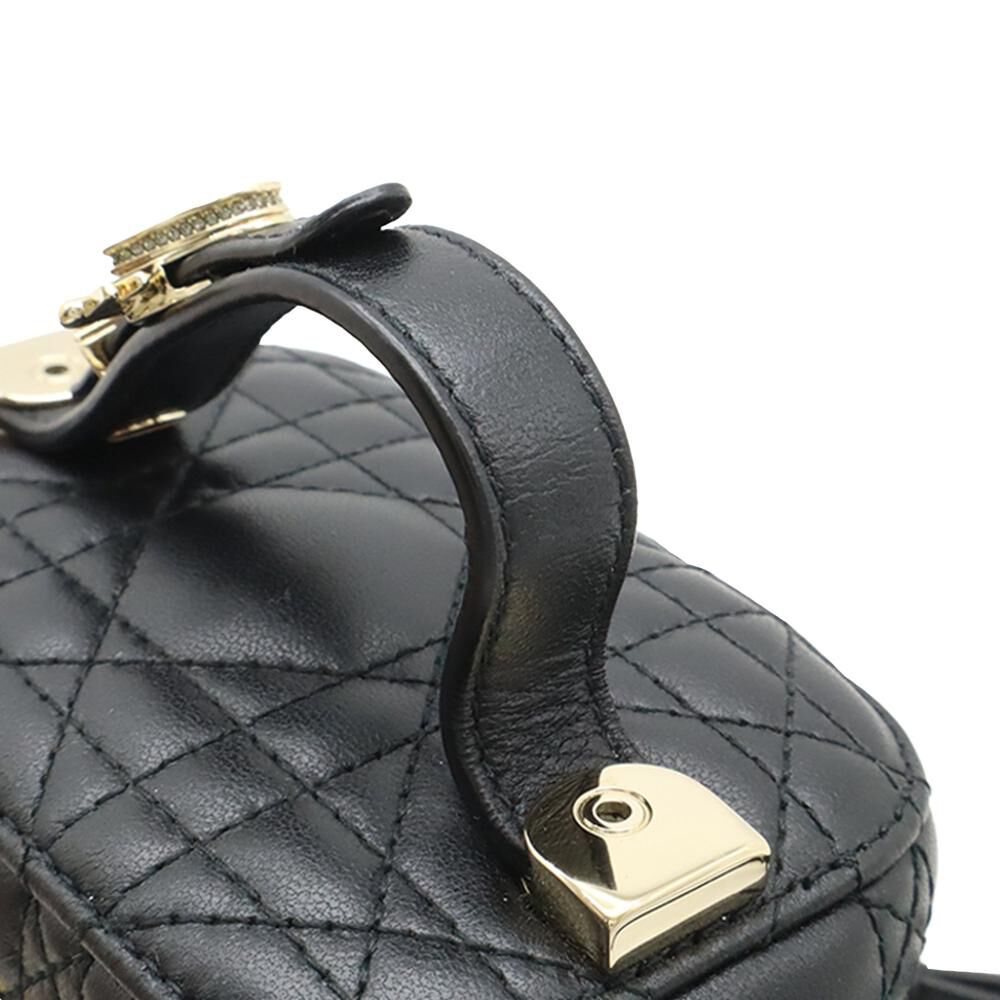 Dior Vanity Bag
