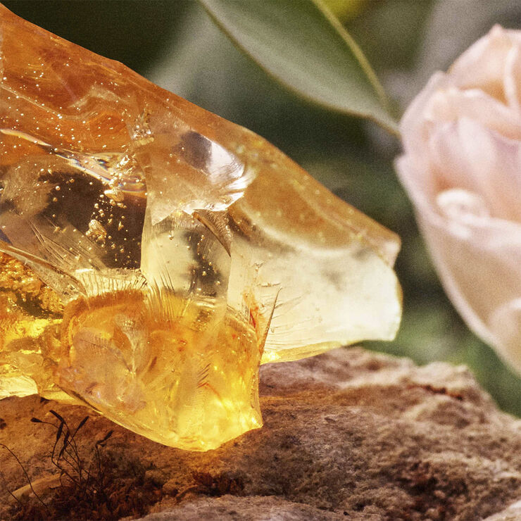 Chloé Deodorant Spray 100 ml.