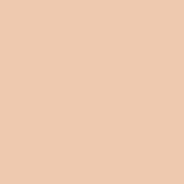Radiant - Creamy Concealer