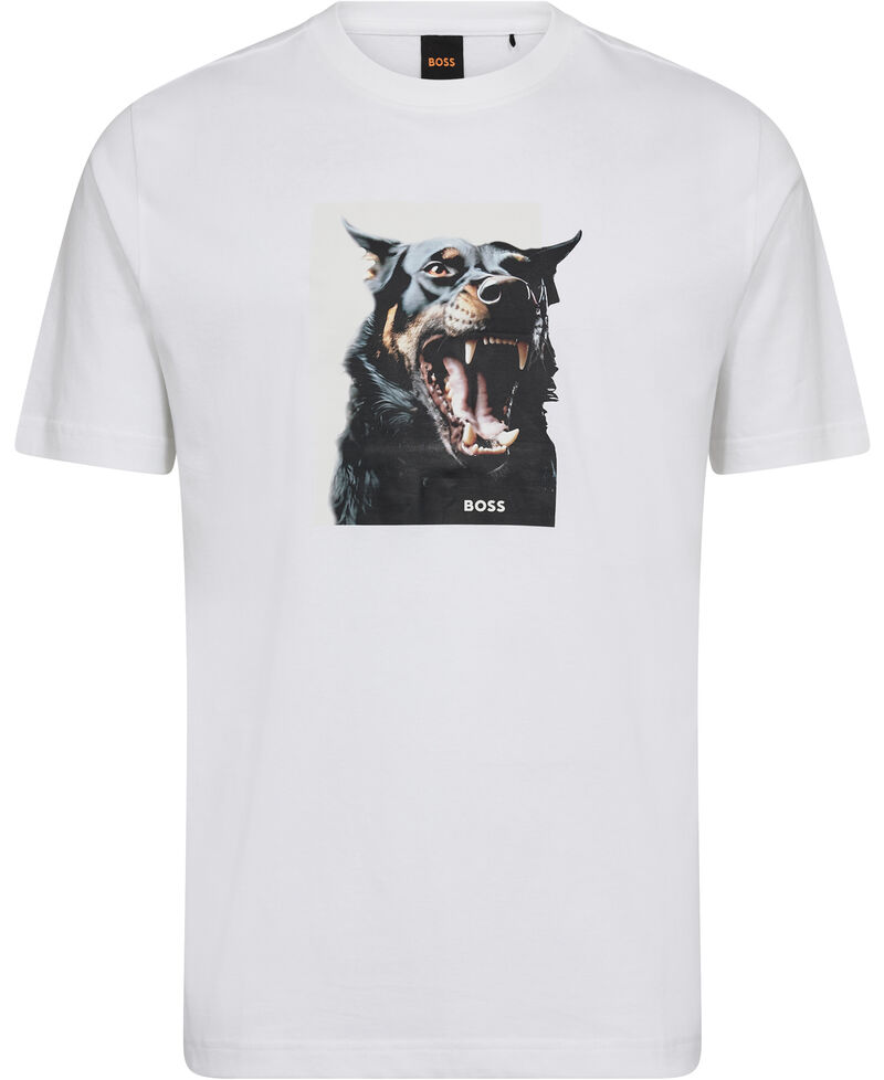 Te_dobermann