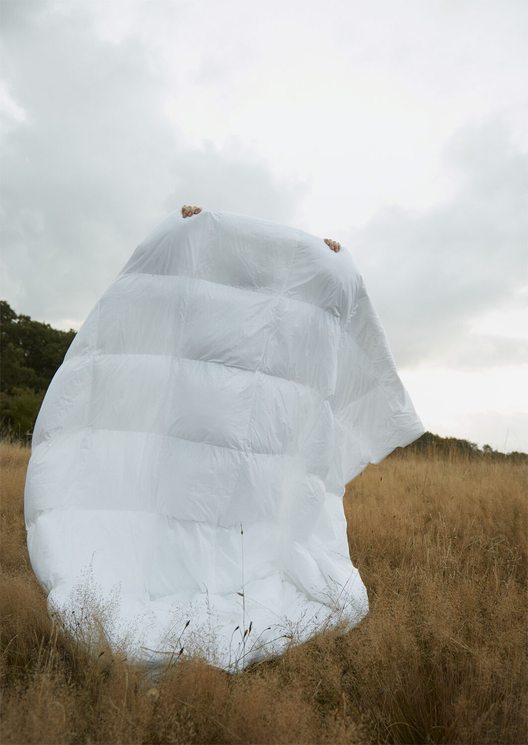 Fossflakes Dyne, Winter