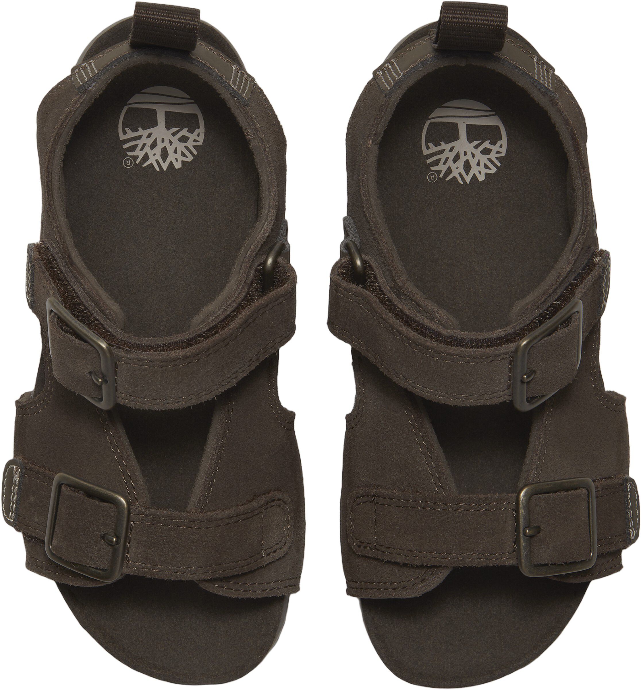 CASTLE ISLAND BACKSTRAP SANDAL DARK