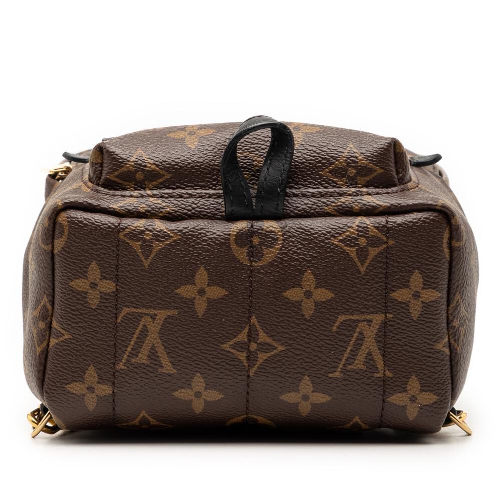 Louis Vuitton Palm Springs