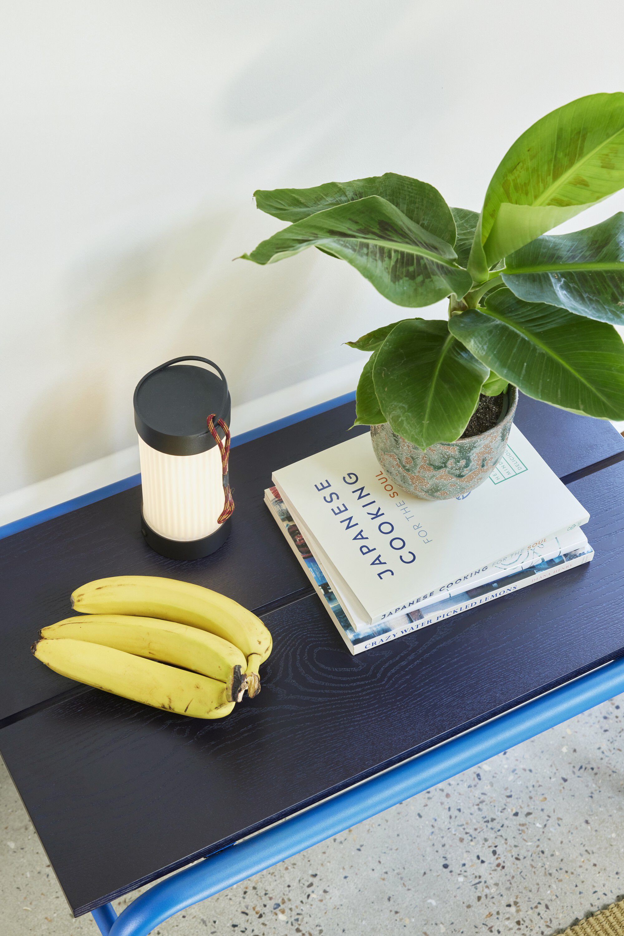 Koi B&aelig;nk Bl&aring;/M&oslash;rkebl&aring;